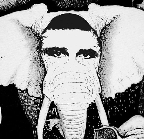 The Gallery: Bebe: The Gallery: Bebe