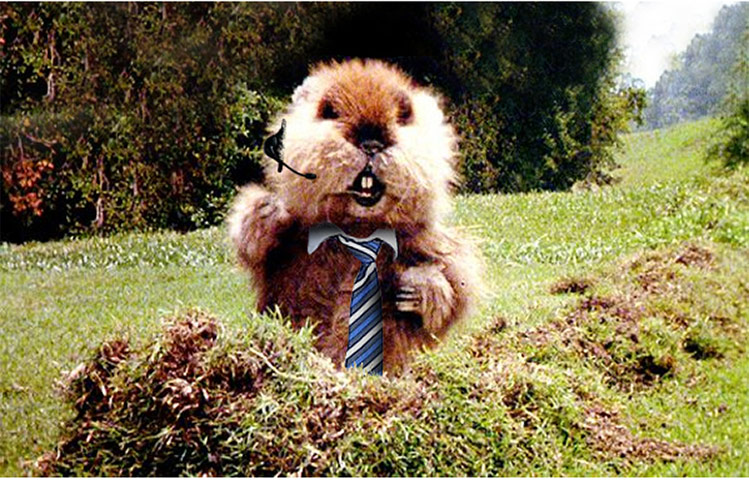 Gallery: Sam Allardyce: The Gallery: Sam Allardyce