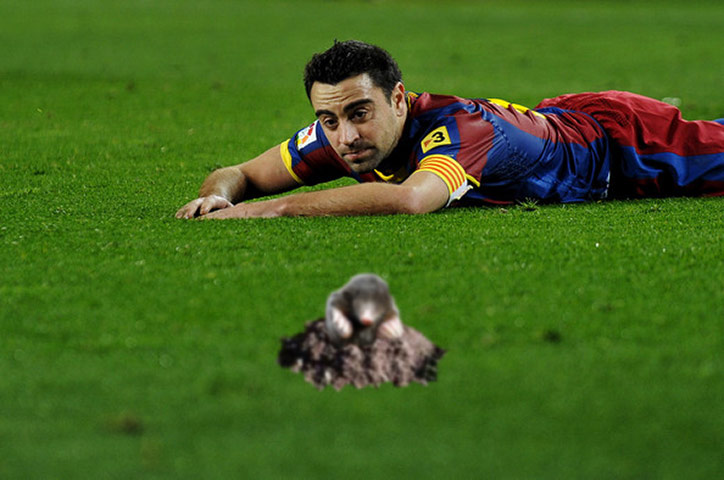 Xavi: The Gallery: Xavi