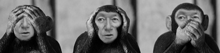 Fifa: The Gallery: Fifa