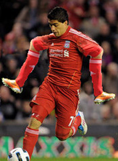 The Gallery: Luis Suarez: The Gallery: Luis Suarez