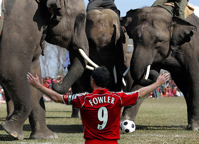 The Gallery: IPL: The Gallery: IPL