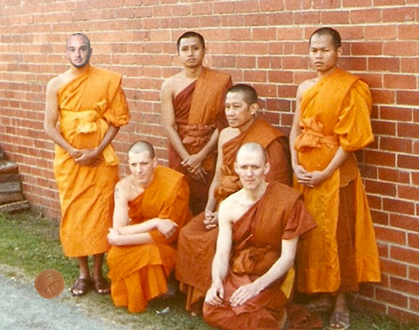 Stephen Ireland: The Gallery: Stephen Ireland