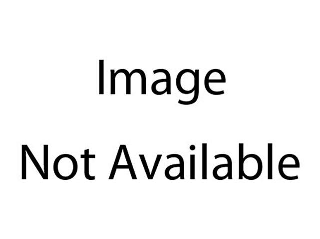 Stephen Ireland: The Gallery: Stephen Ireland