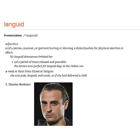 Gallery: Dimitar Berbatov: The Gallery: Dimitar Berbatov