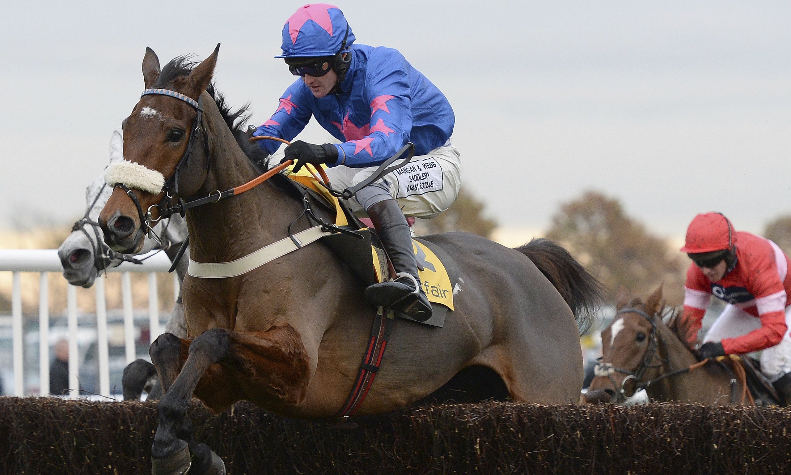 bwin horse racing bwin horse racing