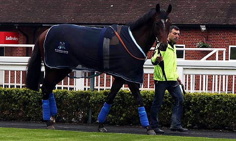 Telescope at Lingfield Park Racecourse
