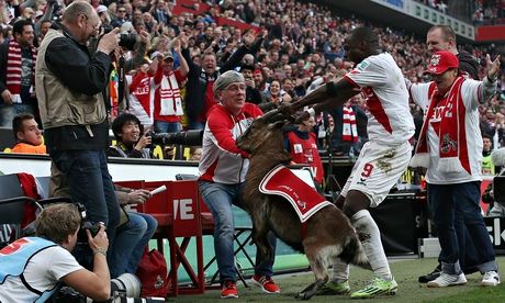 Anthony Ujah celebrates his goal by pulling the horns of goat mascot Hennes VIII