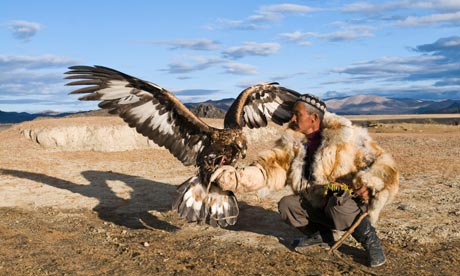 eagle hunter mongolia