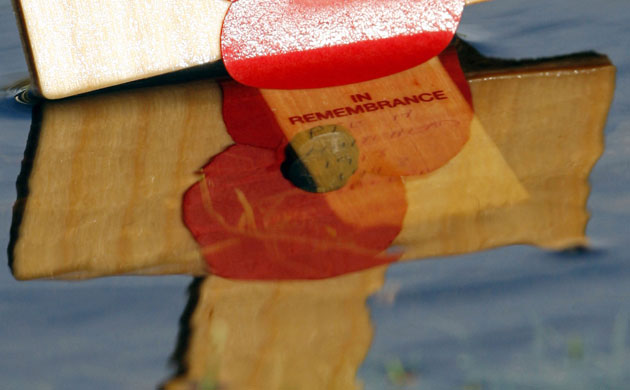 Gallery Armistice Day: Armistice Day at the National Memorial Arboretum in Alrewas, UK