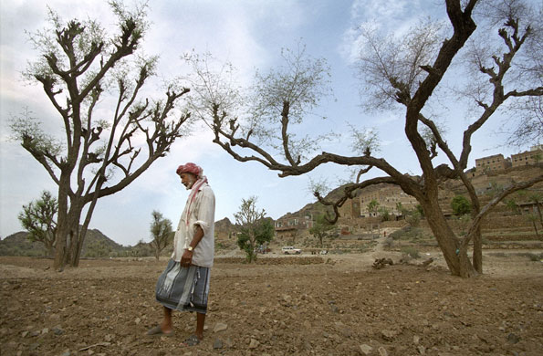 Gallery Yemeni immigrant workers: Quaad Ali Dubwan in Yemen