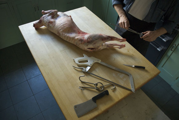 Gallery Butchering a lamb carcass: Carcass with butchery tools