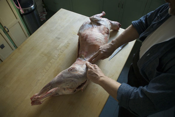 Gallery Butchering a lamb carcass: Find the pelvic girdle