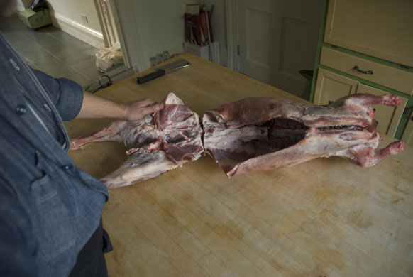 Gallery Butchering a lamb carcass: Make space to saw
