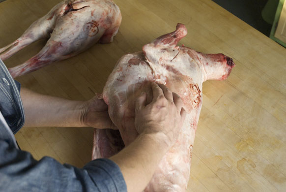 Gallery Butchering a lamb carcass: Lamb. Count off five ribs