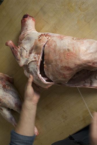 Gallery Butchering a lamb carcass: Lamb. Cut down away from the spine