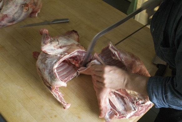 Gallery Butchering a lamb carcass: Lamb. Saw through the spine