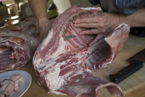 Gallery Butchering a lamb carcass: Lamb. Cut fro the spine to the belly