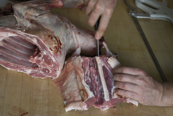 Gallery Butchering a lamb carcass: Lamb. Repeat on the other side