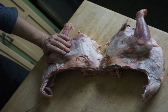 Gallery Butchering a lamb carcass: Lamb. Fore portion pieces