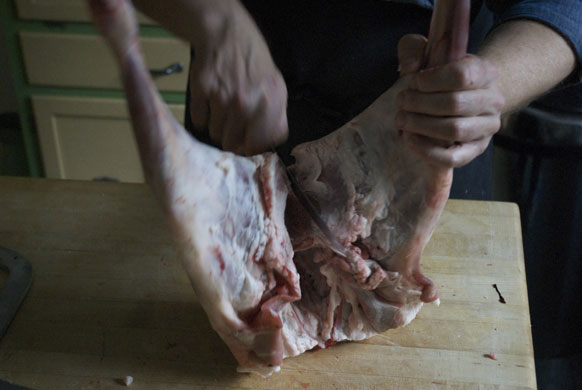 Gallery Butchering a lamb carcass: Lamb. Cut through the rump