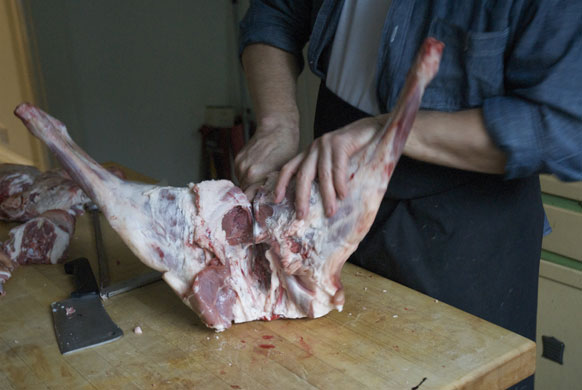 Gallery Butchering a lamb carcass: Lamb. Pop the hip joints