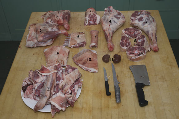 Gallery Butchering a lamb carcass: Lamb. Finished cuts