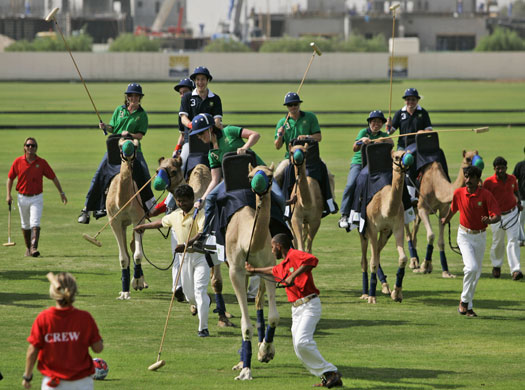 Gallery 24 Sport: camel polo