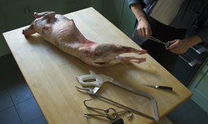 Lamb carcass with butchery tools