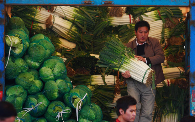 Gallery November 12 2008: Hefei, China: People shop at a market