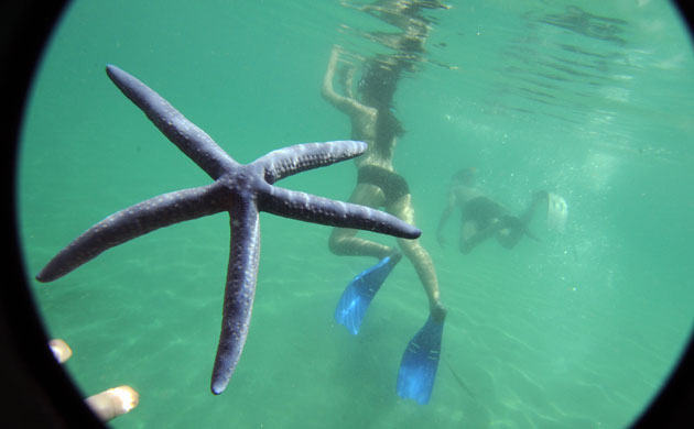 Gallery Ecotourism at Honda Bay: Ecotourism at Honda Bay