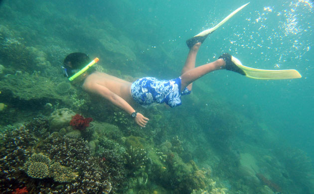 Gallery Ecotourism at Honda Bay: Ecotourism at Honda Bay