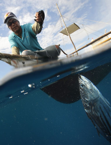 Gallery Ecotourism at Honda Bay: Ecotourism at Honda Bay