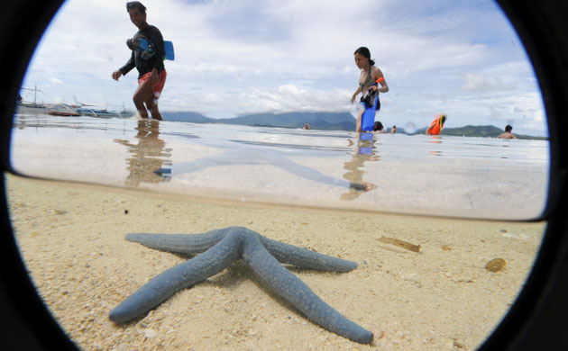 Gallery Ecotourism at Honda Bay: Ecotourism at Honda Bay