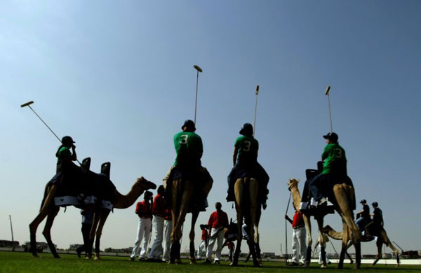 Gallery Week in sport: Dubai, United Arab Emirates: A group of players prepare to play camel polo