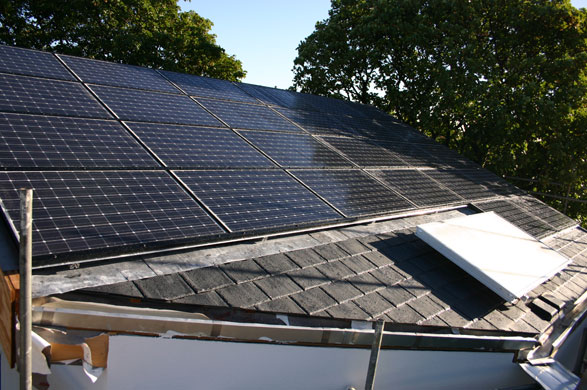 Gallery Tree House: Roof of the Tree House