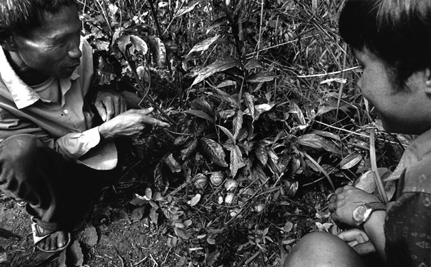 Gallery War legacy in Laos: War legacy in Laos