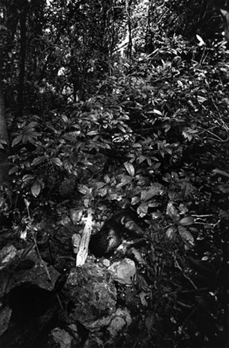 Gallery War legacy in Laos: War legacy in Laos