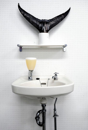 Gallery Catching tuna in Japan: Catching tuna in Japan