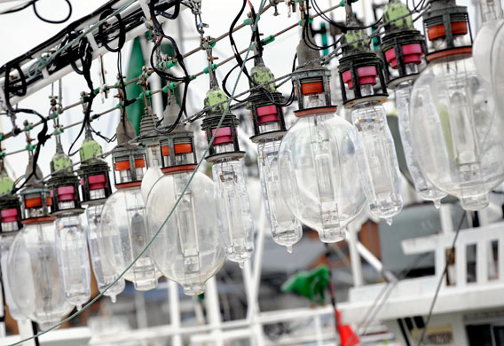 Gallery Catching tuna in Japan: Catching tuna in Japan