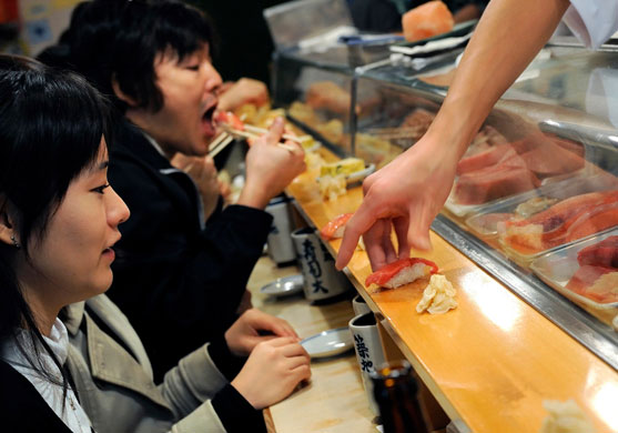 Gallery Catching tuna in Japan: Catching tuna in Japan