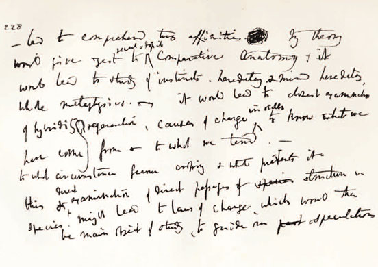 Gallery Darwin gallery: Darwin's transmutation notebooks