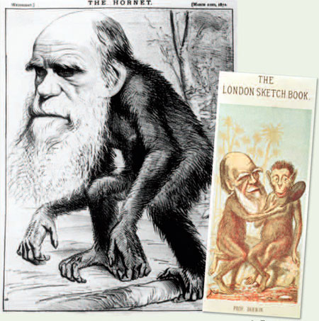 Gallery Darwin gallery: Cartoons of Darwin