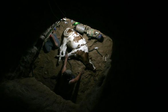 Gallery November 18 2008: Palestinians continue to smuggle supplies through tunnels