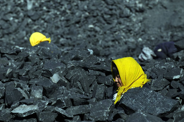 Gallery November 19 2008: Changzhi, China: People search for usable coal