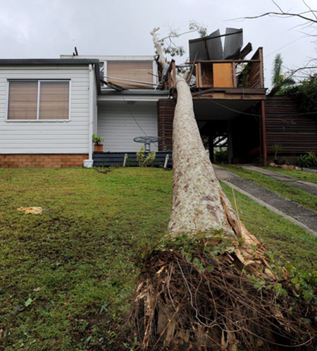 Gallery Brisbane Storm Damage: Brisbane Storm Damage