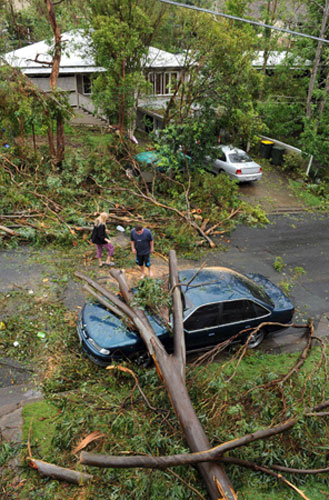 Gallery Brisbane Storm Damage: Brisbane Storm Damage