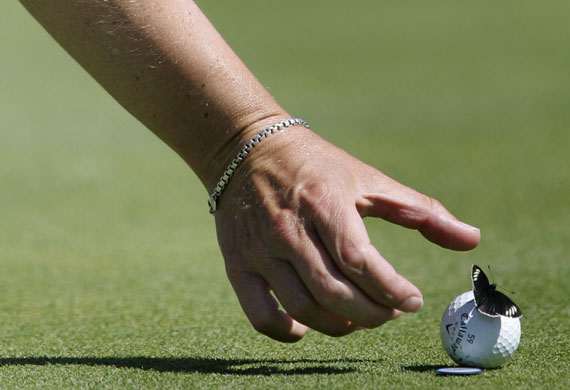 Gallery Sport pictures: Annika Sorenstam takes a ball with a butterfly perched on it