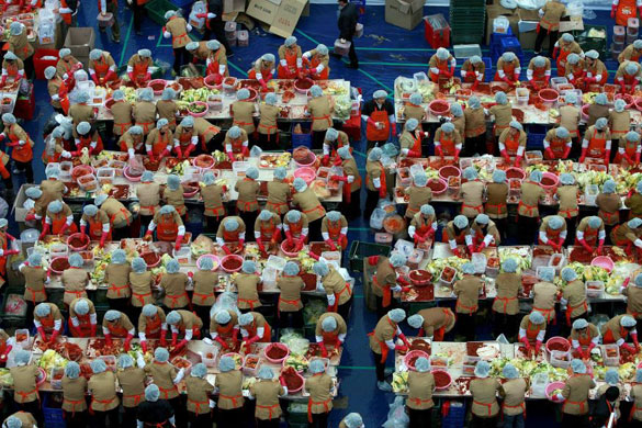 Gallery November 20 2008: Seoul, South Korea: Yakult Company workers make Kimchi