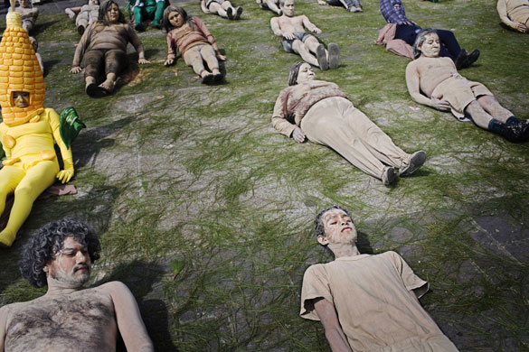 Gallery November 21 2008: Guatemala City: Activists promote the rebirth of local corn